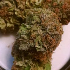 User uploaded image of Purple Urkle