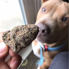 User uploaded image of Purple Urkle