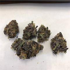 User uploaded image of Purple Urkle
