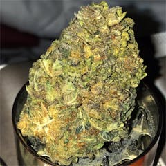 User uploaded image of Purple Urkle