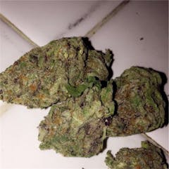 User uploaded image of Purple Urkle