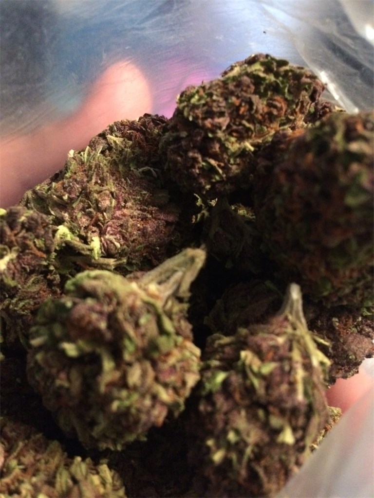 purple urkle weed