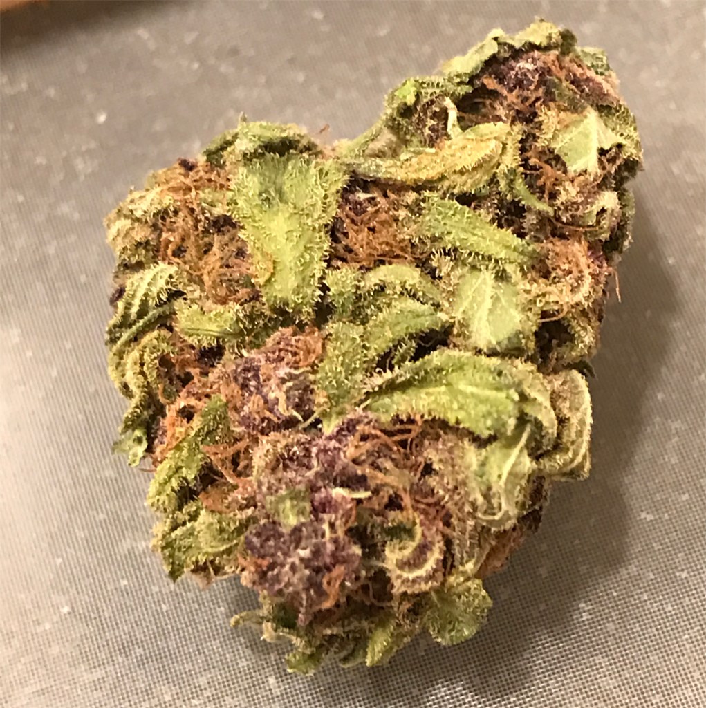 purple urkle strain jaleel