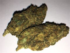 User uploaded image of Purple Urkle