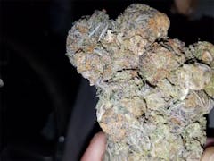User uploaded image of Purple Voodoo