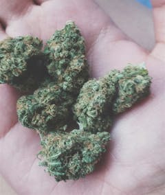 User uploaded image of Purple Voodoo