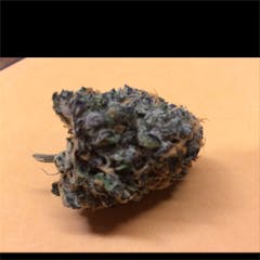 User uploaded image of Purple Widow