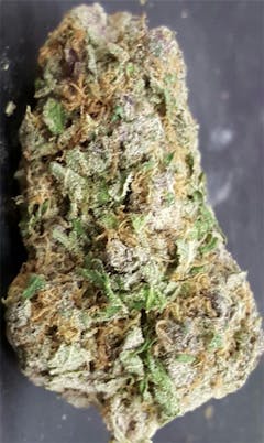 User uploaded image of Purple Widow