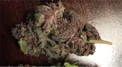 User uploaded image of Purple Wreck