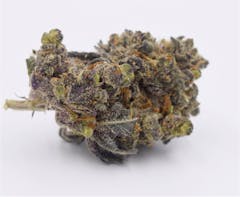 User uploaded image of Purple Wreck