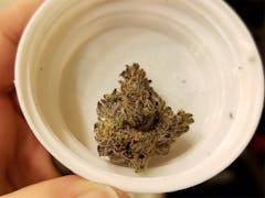 User uploaded image of Purple Wreck