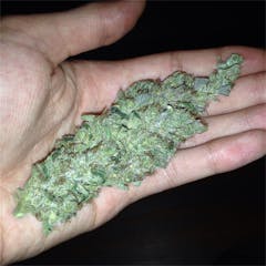 User uploaded image of Qleaner