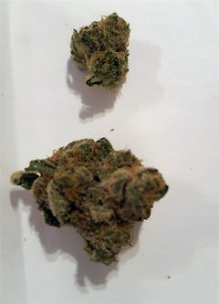 User uploaded image of Qleaner