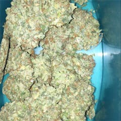 User uploaded image of Quantum Kush