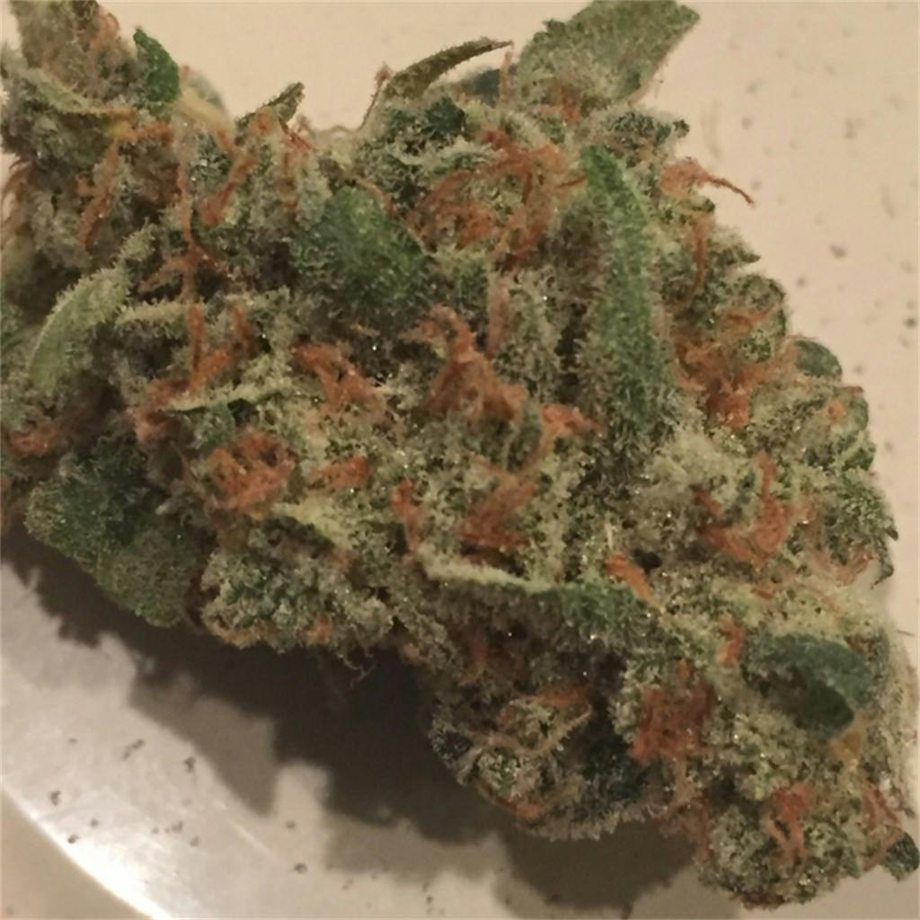 Quantum Kush aka Quantum Purple Weed Strain Information Leafly