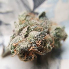 User uploaded image of Querkle