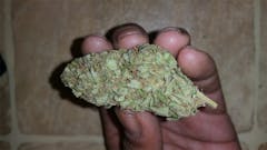 User uploaded image of Qush