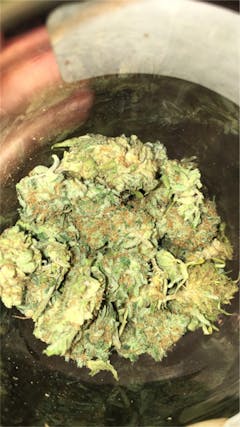 User uploaded image of Qush