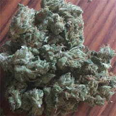 User uploaded image of Rafael