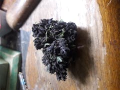 User uploaded image of Rainbow