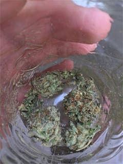 User uploaded image of Rare Dankness #1