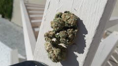 User uploaded image of Rare Dankness #1