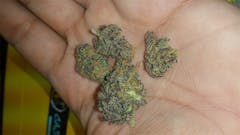 User uploaded image of Rare Darkness