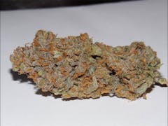 User uploaded image of Rare Darkness