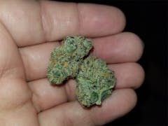 User uploaded image of Rare Darkness