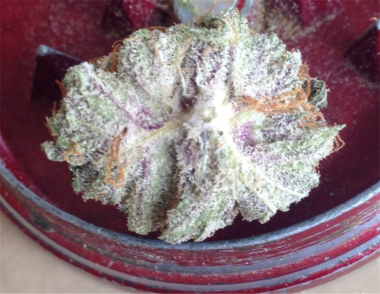 Raspberry Cough Weed Strain Information Leafly