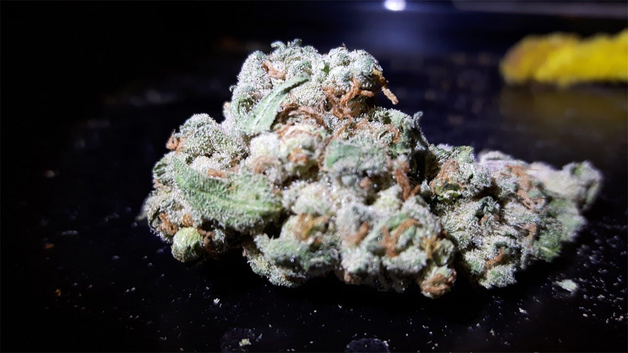 Raspberry Cough Marijuana Strain Information Leafly