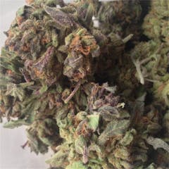 User uploaded image of Raspberry Kush