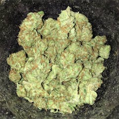 User uploaded image of Raspberry Kush