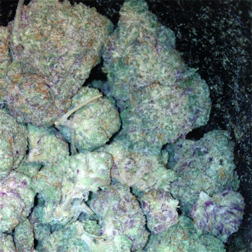 Raspberry Kush Weed Strain Information Leafly