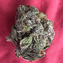 User uploaded image of Raspberry Kush