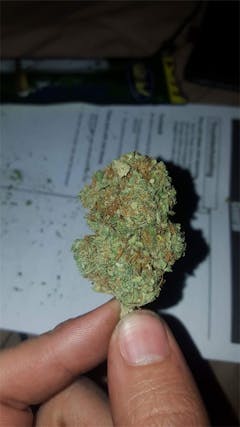 User uploaded image of Ray Charles