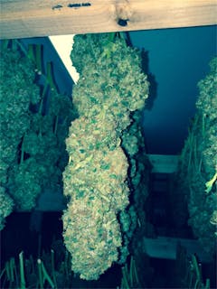 User uploaded image of Ray Charles