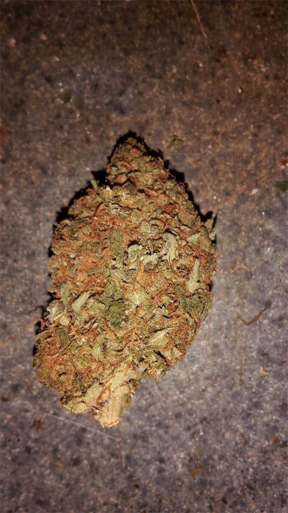 Rebel God Smoke Weed Strain Information | Leafly