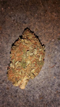 User uploaded image of Rebel God Smoke