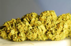 User uploaded image of Rebel God Smoke