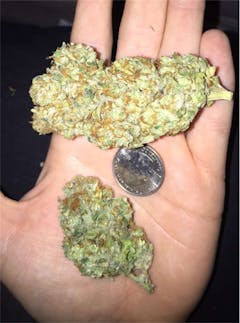 User uploaded image of Red Cherry Berry