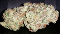 User uploaded image of Red Cherry Berry