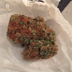 User uploaded image of Red Cherry Berry
