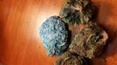 User uploaded image of Red Cherry Berry