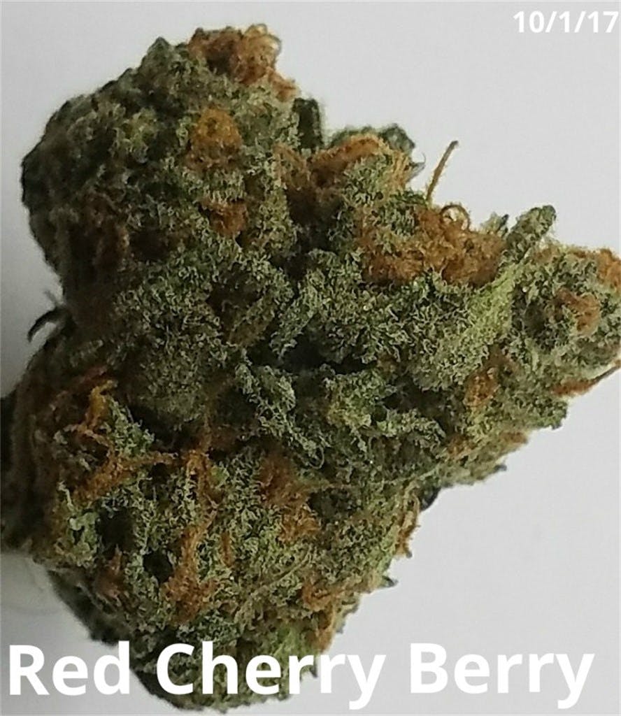 Red Cherry Berry aka Red Berry Cherry Weed Strain Information Leafly