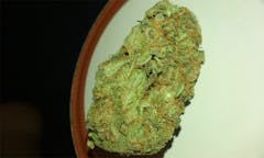 User uploaded image of Red Diesel