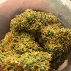 User uploaded image of Red Dragon