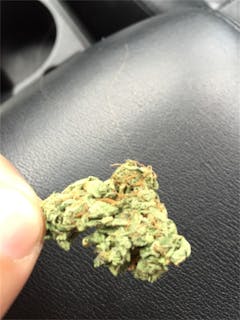 User uploaded image of Red Dragon