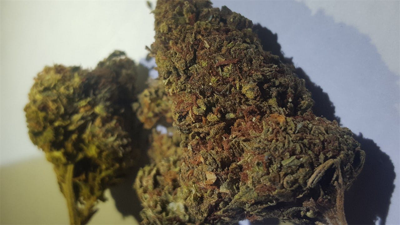 Red Dragon Weed Strain Information Leafly