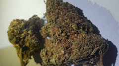 User uploaded image of Red Dragon